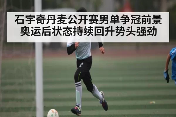 石宇奇丹麦公开赛男单争冠前景 奥运后状态持续回升势头强劲 - Leyu